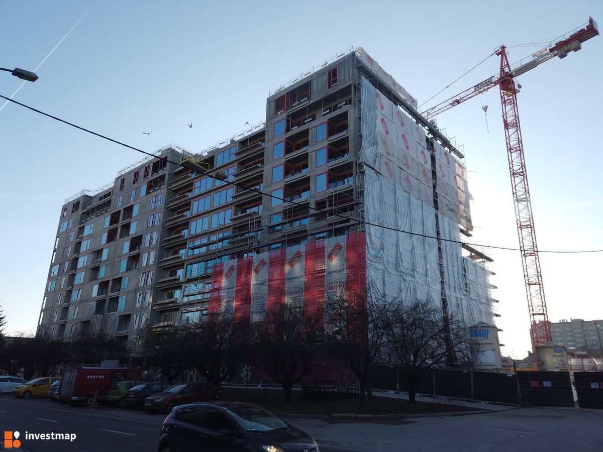 Zdjęcie Gigant fot. Damian Daraż 