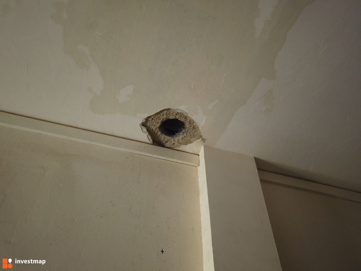 Zdjęcie Jarzębiny 30 fot. Damian Daraż 