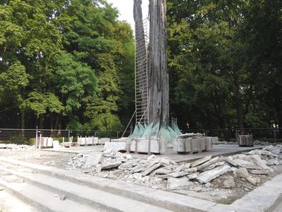 fot. Damian Daraż