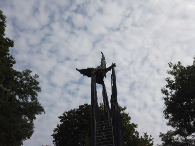 fot. Damian Daraż