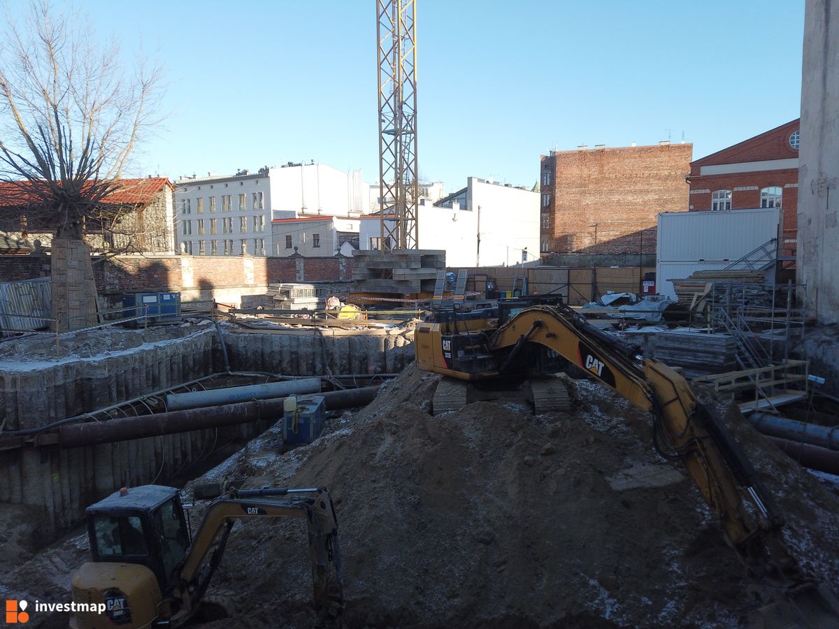 Zdjęcie Dajwór fot. Damian Daraż 