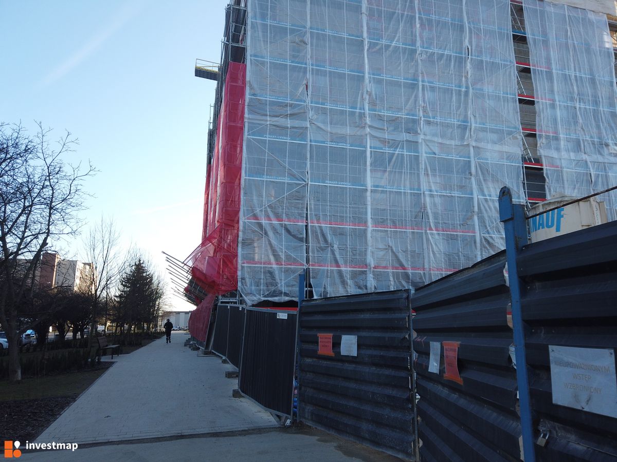 Zdjęcie Gigant fot. Damian Daraż 