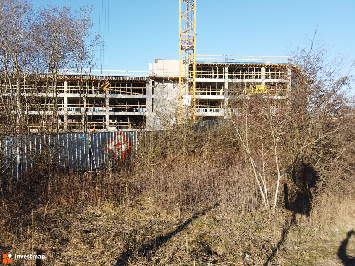 Zdjęcie Magazyn fot. Damian Daraż 