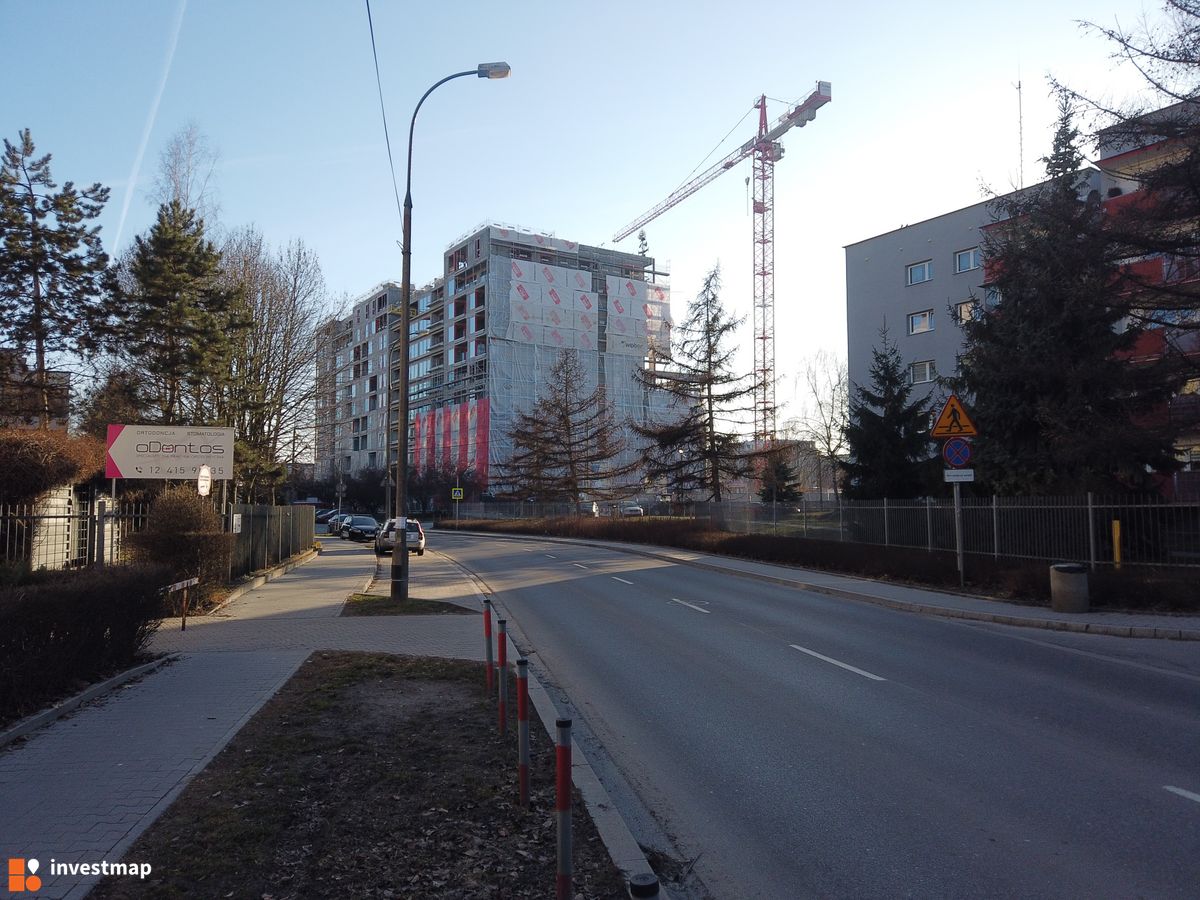 Zdjęcie Gigant fot. Damian Daraż 