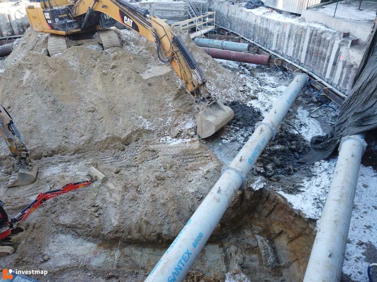 Zdjęcie Dajwór fot. Damian Daraż 