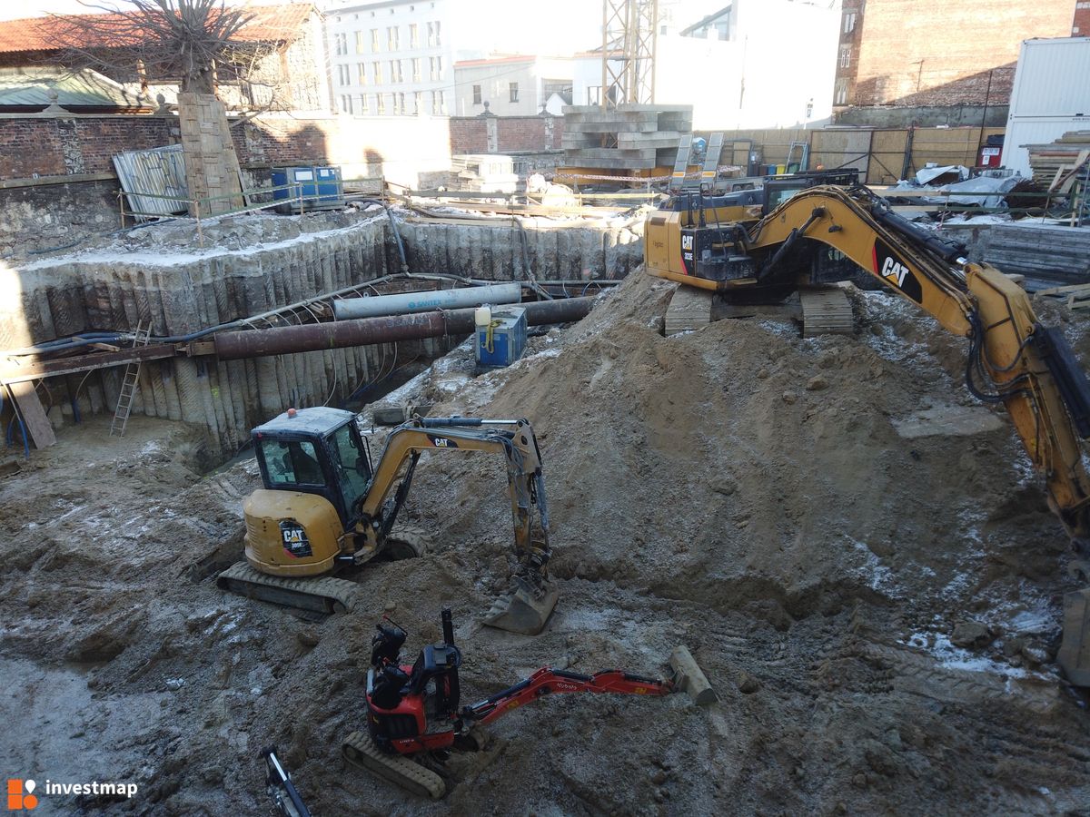 Zdjęcie Dajwór fot. Damian Daraż 