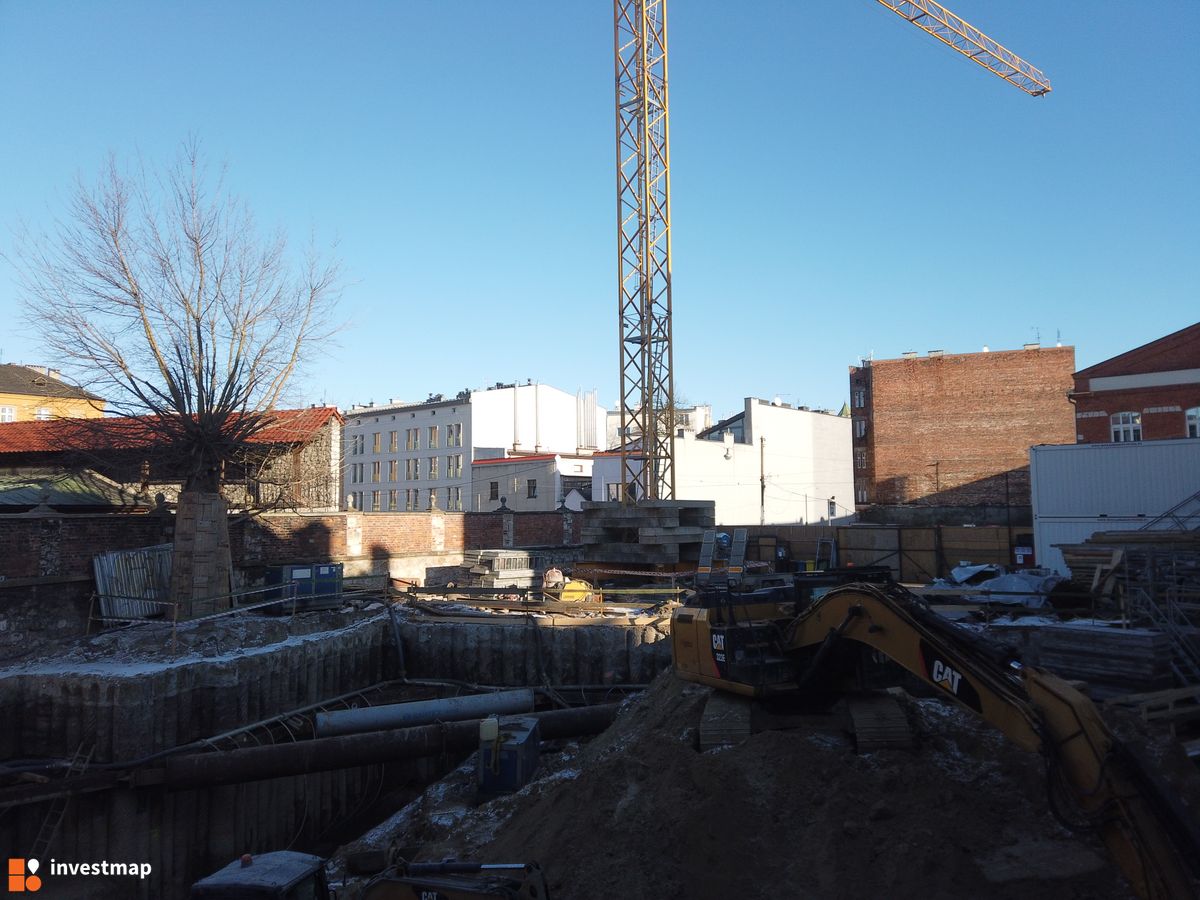 Zdjęcie Dajwór fot. Damian Daraż 