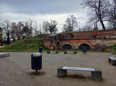 fot. Orzech
