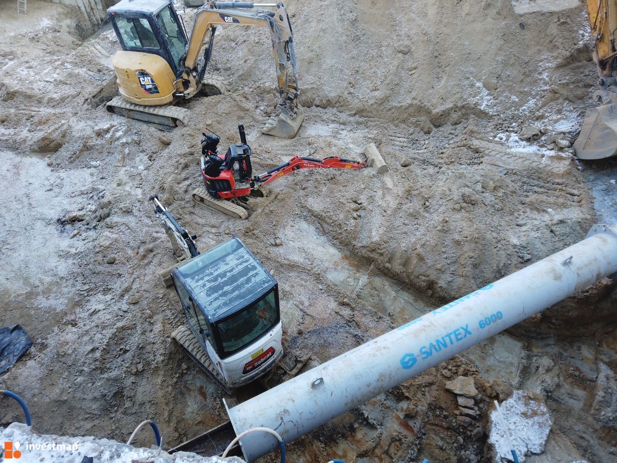 Zdjęcie Dajwór fot. Damian Daraż 