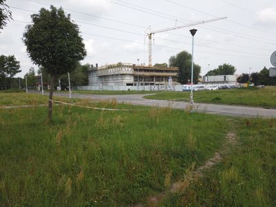 fot. Damian Daraż