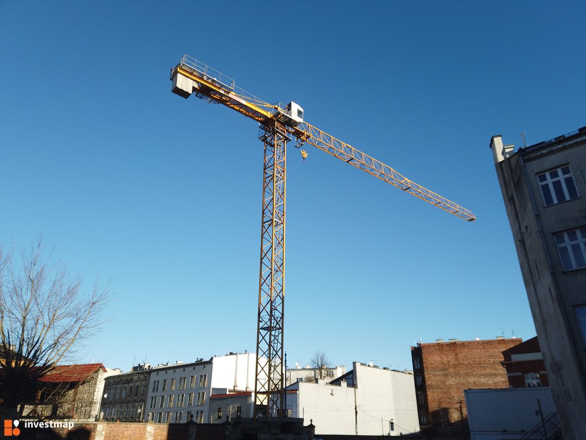 Zdjęcie Dajwór fot. Damian Daraż 