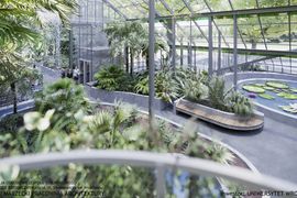 W Ogrodzie Botanicznym we Wrocławiu powstaje nowa Palmiarnia [ZDJĘCIA+WIZUALIZACJE]