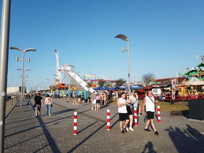fot. Damian Daraż