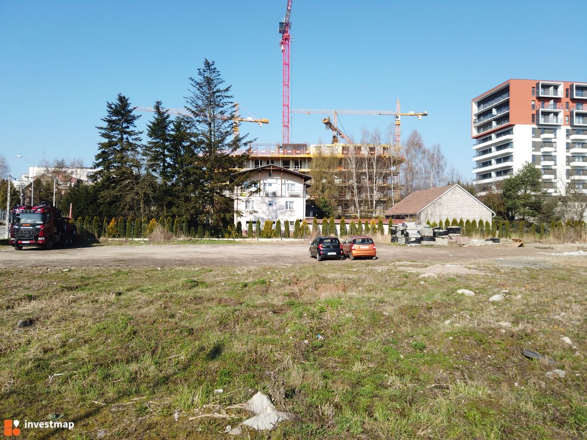 Zdjęcie Drago fot. Damian Daraż 