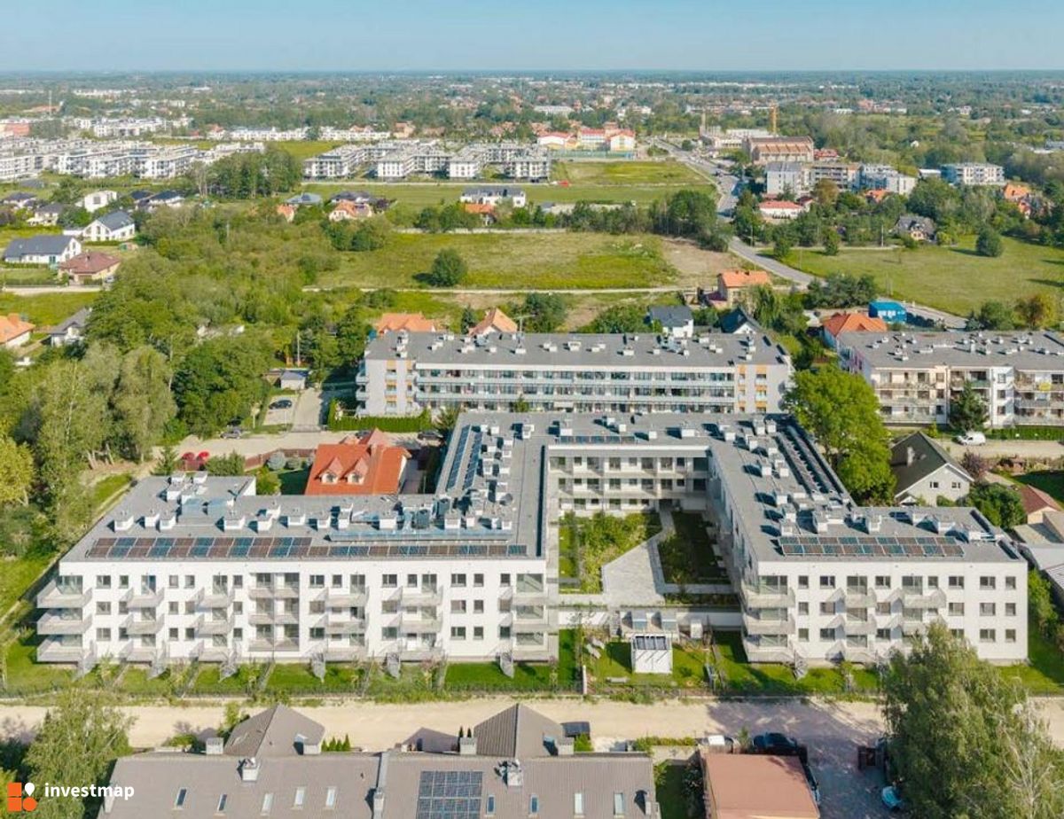 Zdjęcie Mirabelki 5 fot. Orzech 