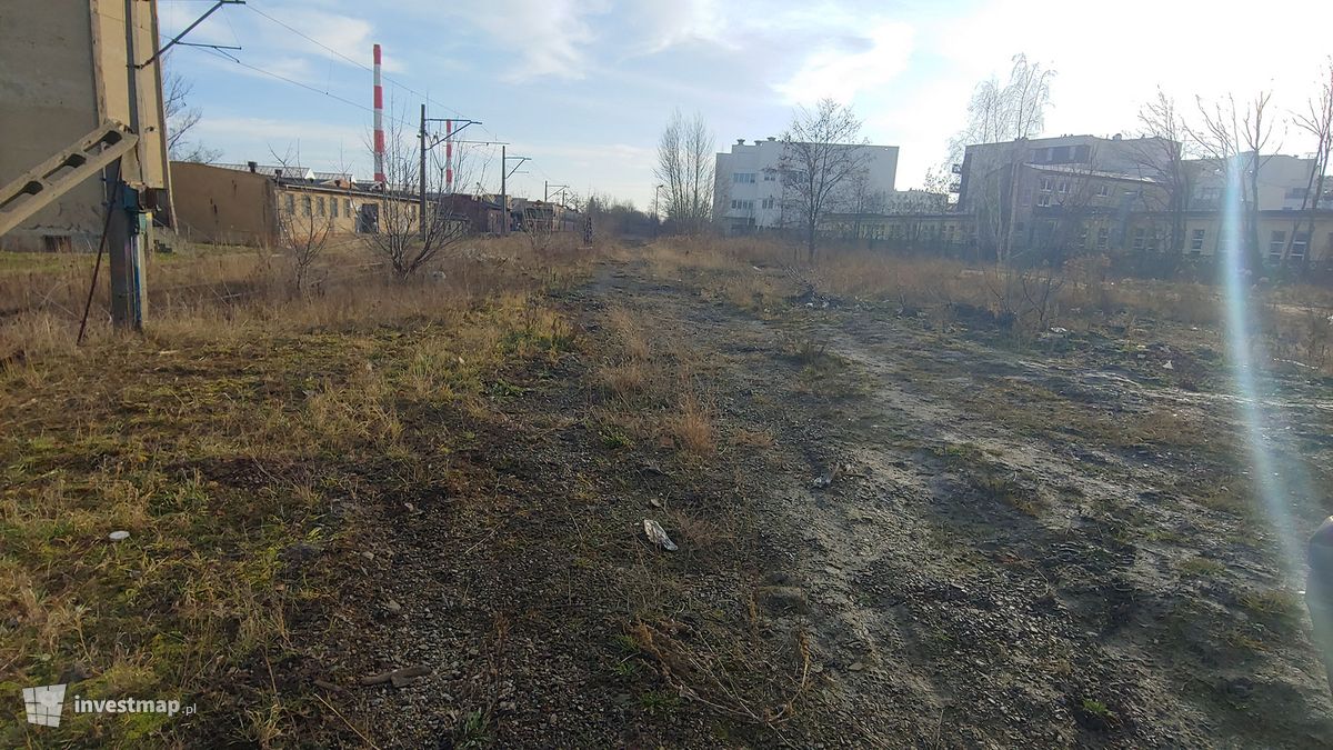 Zdjęcie Park Henrykowski fot. Mariusz Bartodziej