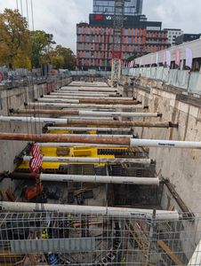 fot. Jan  Augustynowski