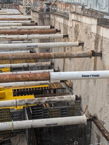 fot. Jan  Augustynowski