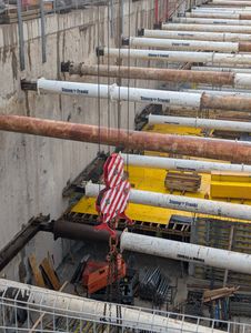 fot. Jan  Augustynowski