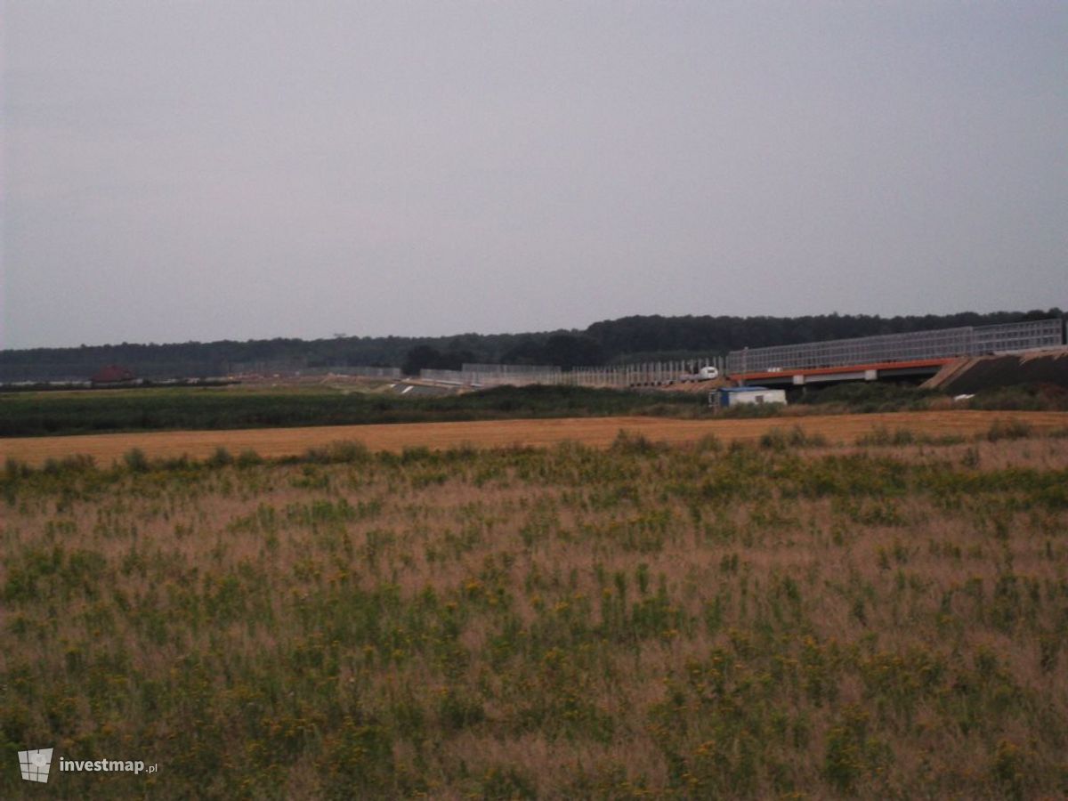 Zdjęcie [Brzeg Dolny] Most Wolności fot. Orzech 