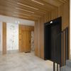 Robinia