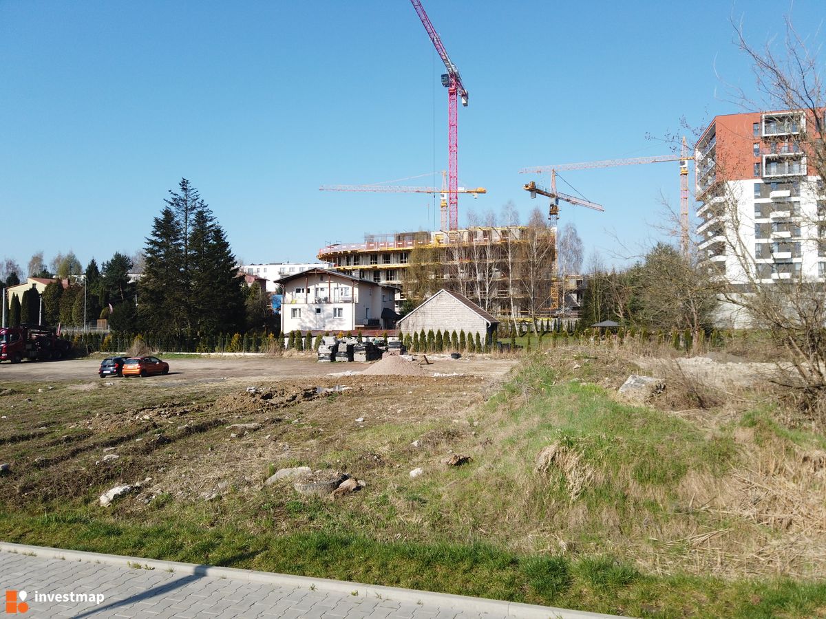 Zdjęcie Drago fot. Damian Daraż 