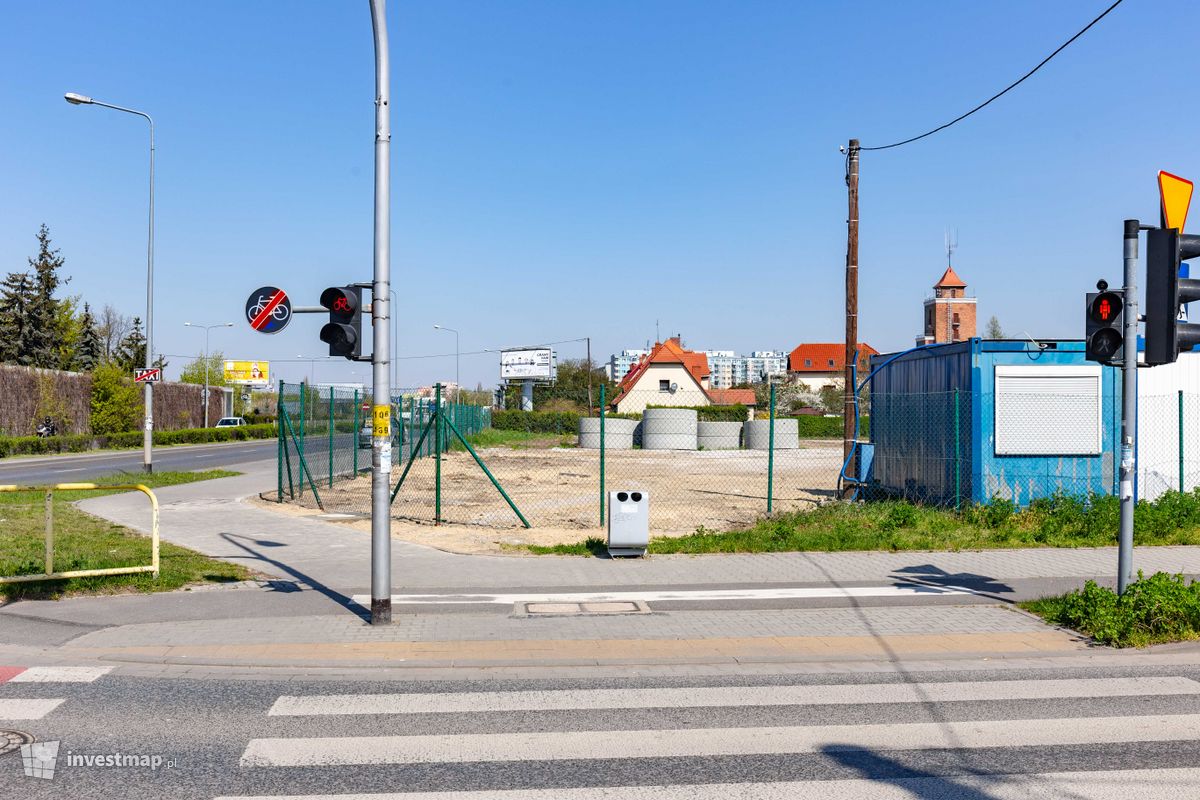 Zdjęcie Milo Apart fot. Mariusz Bartodziej