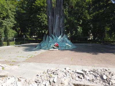 fot. Damian Daraż