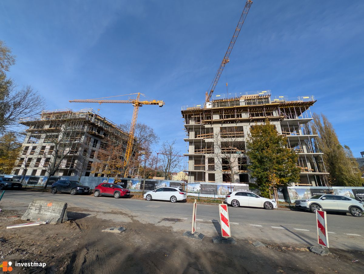 Zdjęcie Królowej Jadwigi 51 fot. Jan Augustynowski