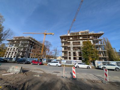 fot. Jan  Augustynowski