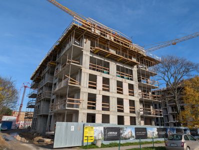 fot. Jan  Augustynowski