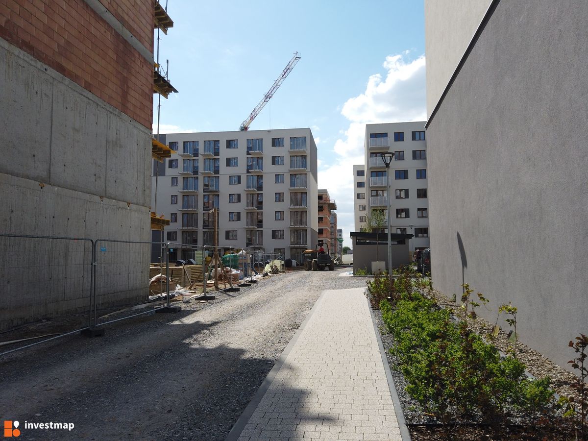 Zdjęcie Centralna Park fot. Damian Daraż 