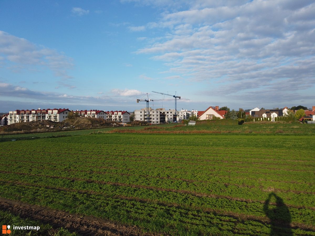 Zdjęcie Wzgórze Gustawa fot. Damian Daraż 