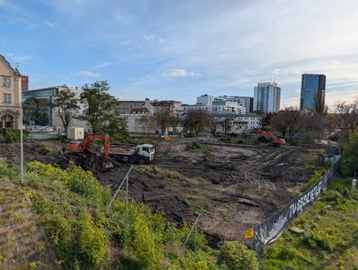 fot. Jan  Augustynowski