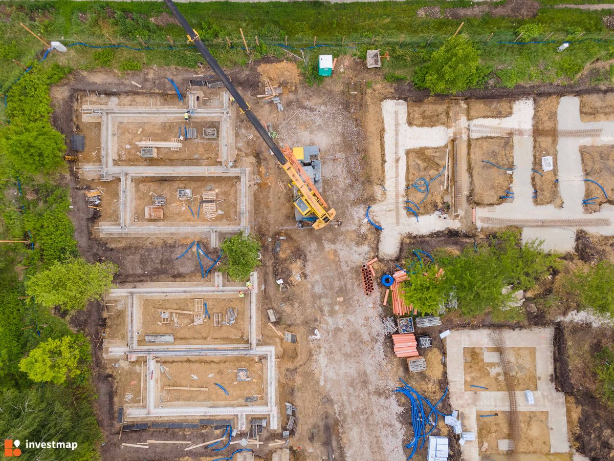 Zdjęcie Strawińskiego fot. PROFIT Development