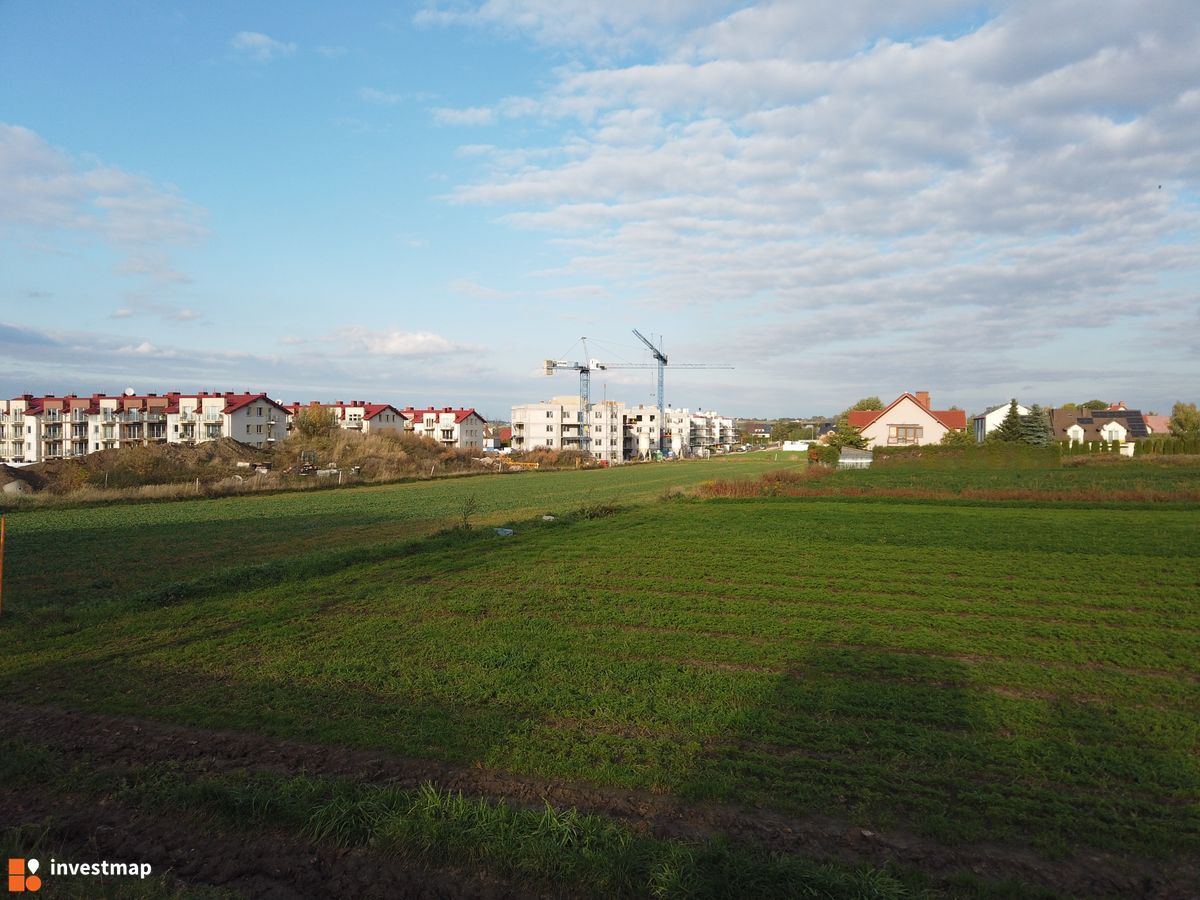 Zdjęcie Wzgórze Gustawa fot. Damian Daraż 