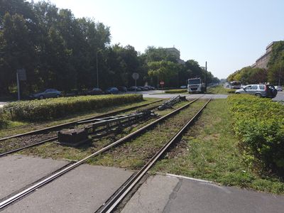 fot. Damian Daraż
