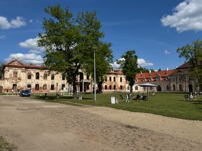 fot. Jan  Augustynowski