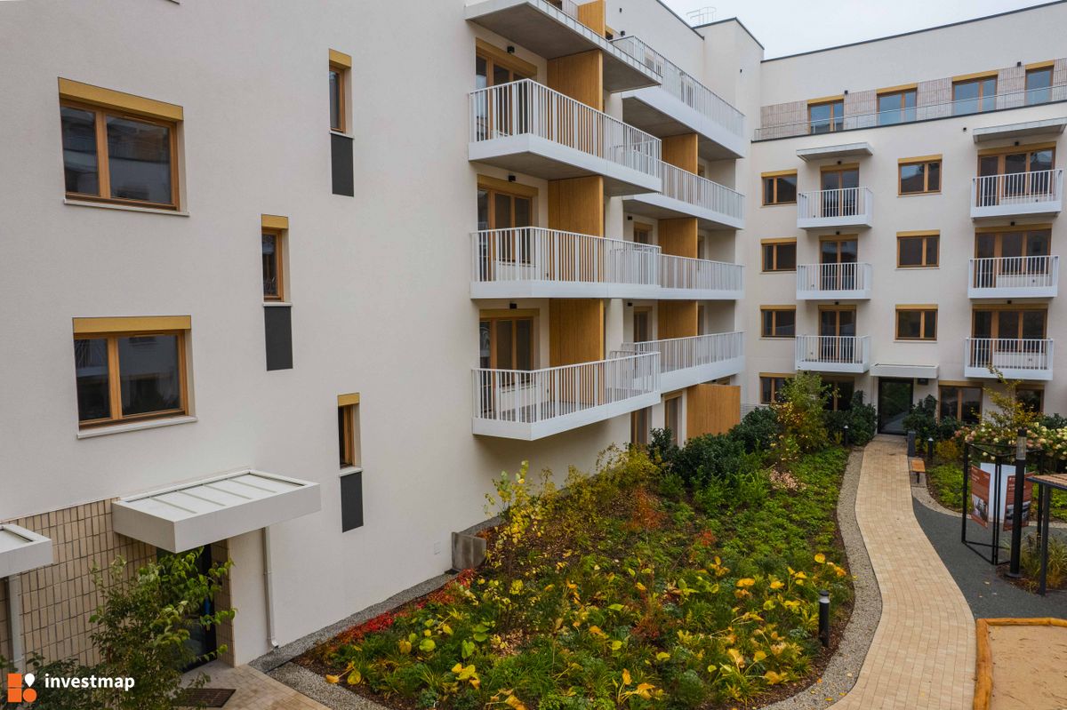 Zdjęcie Cavallia fot. Jakub Zazula 