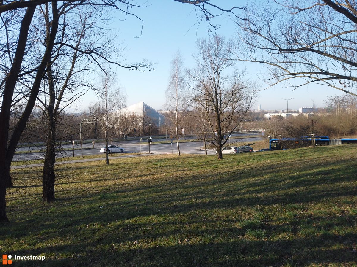 Zdjęcie Cogiteon fot. Damian Daraż 