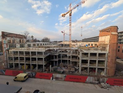 fot. Jan  Augustynowski