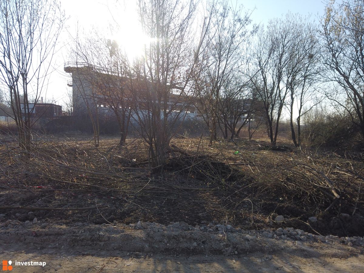 Zdjęcie Magazyn fot. Damian Daraż 