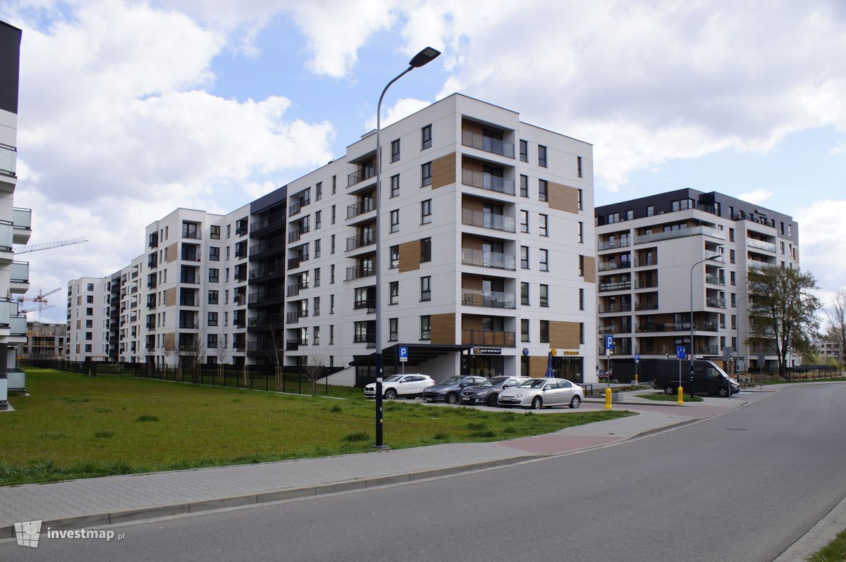 Zdjęcie Dąbska Street fot. Damian Daraż 