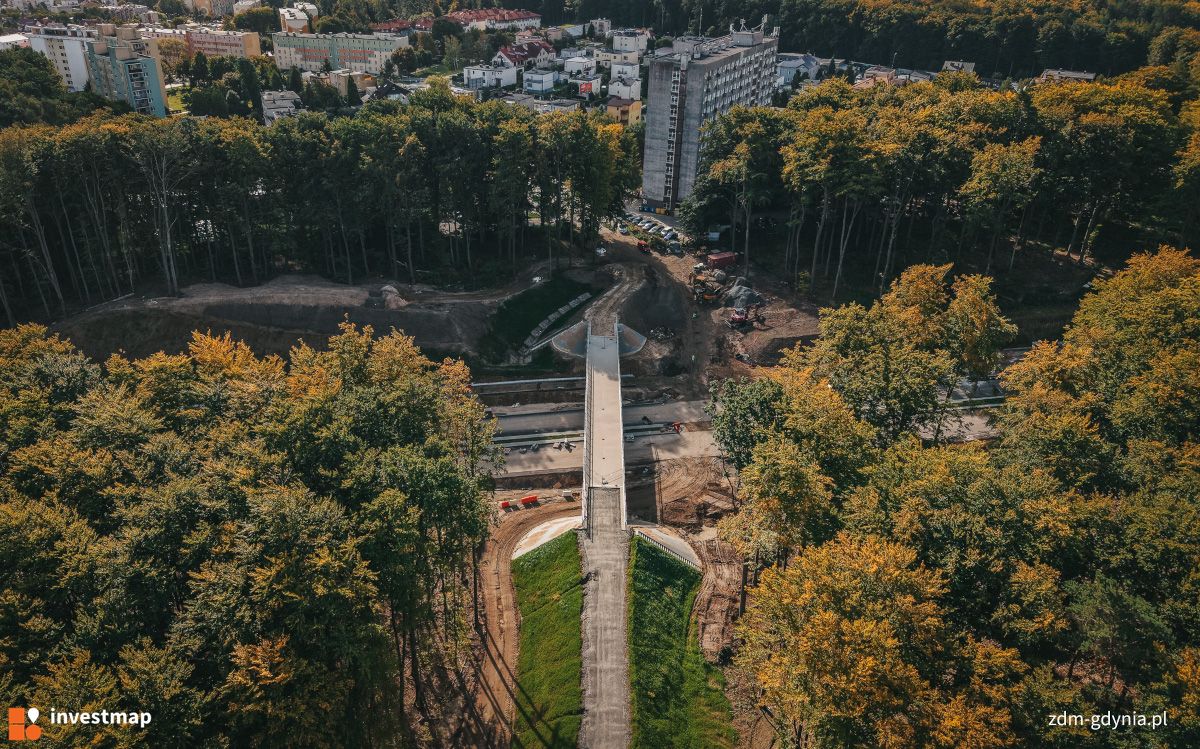 Zdjęcie Obwodnica Witomina fot. Orzech 