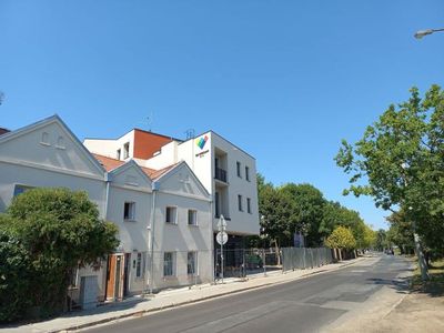 Orzech