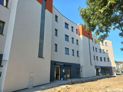 Orzech