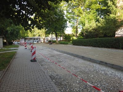 fot. Damian Daraż