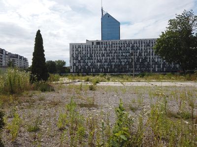 fot. Damian Daraż