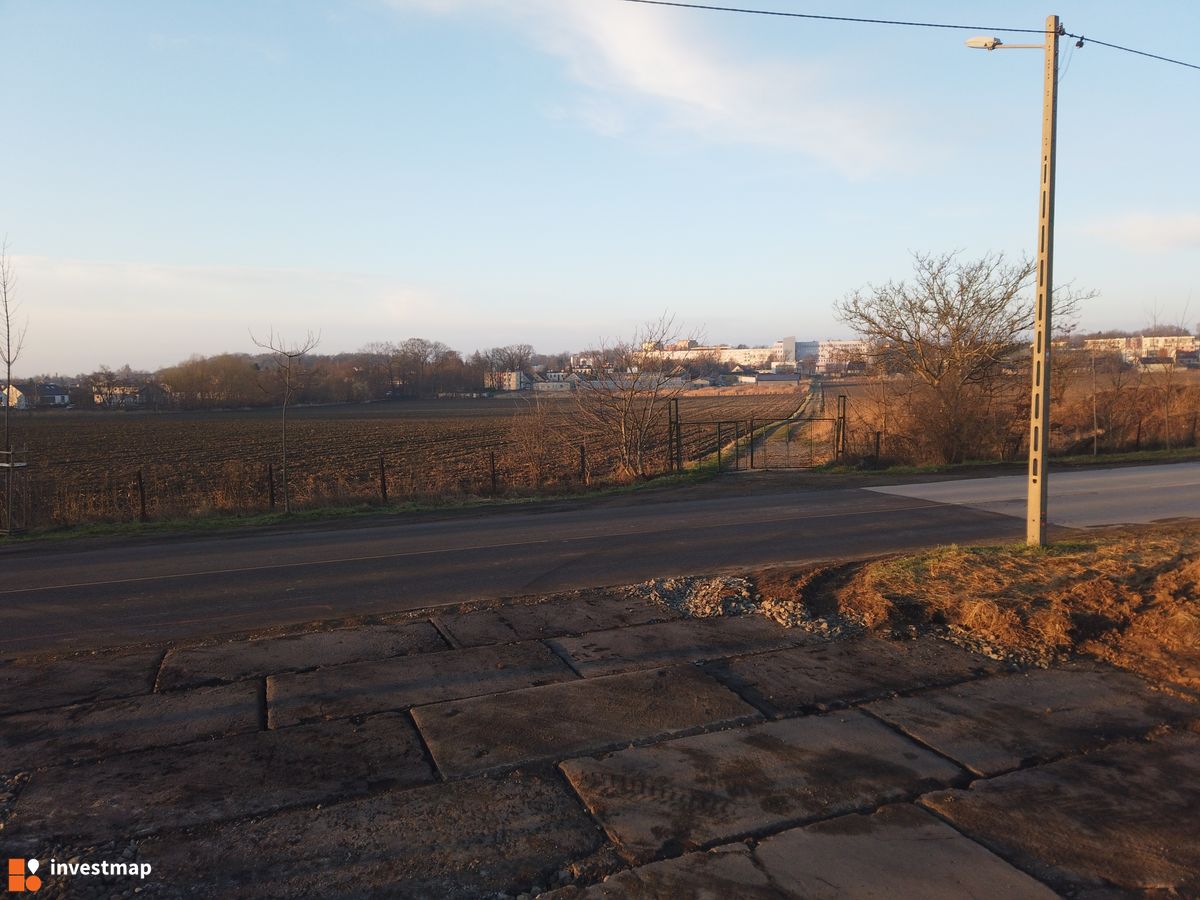 Zdjęcie Atut Kocmyrzowska fot. Damian Daraż 