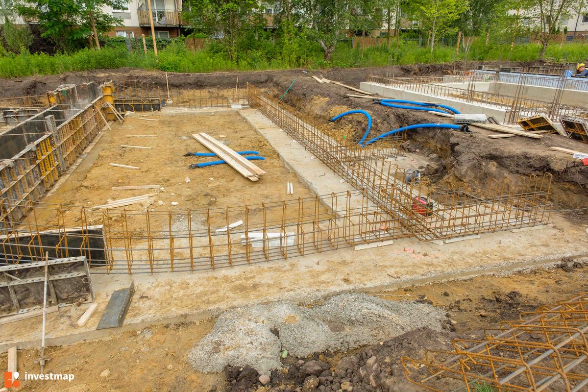 Zdjęcie Strawińskiego fot. PROFIT Development